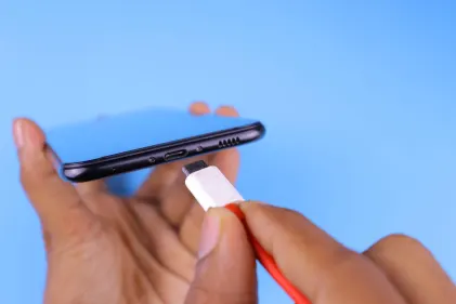 Kasino Dogs Fortune Apl Mudah Alih